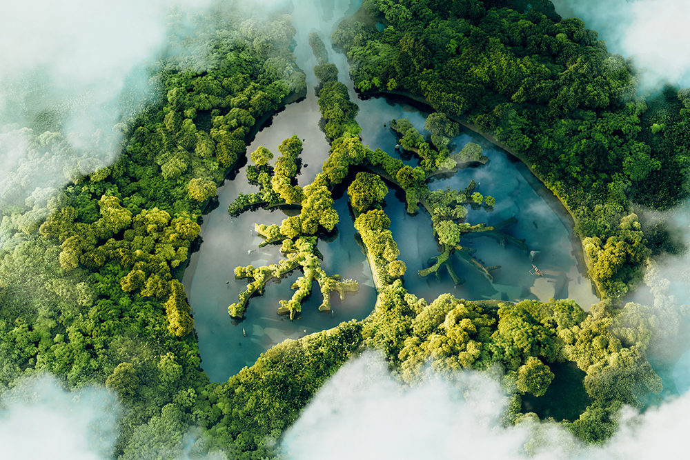 Conceptual image of a lung-shaped lake in a lush jungle, symbolizing the connection between nature and breathing.