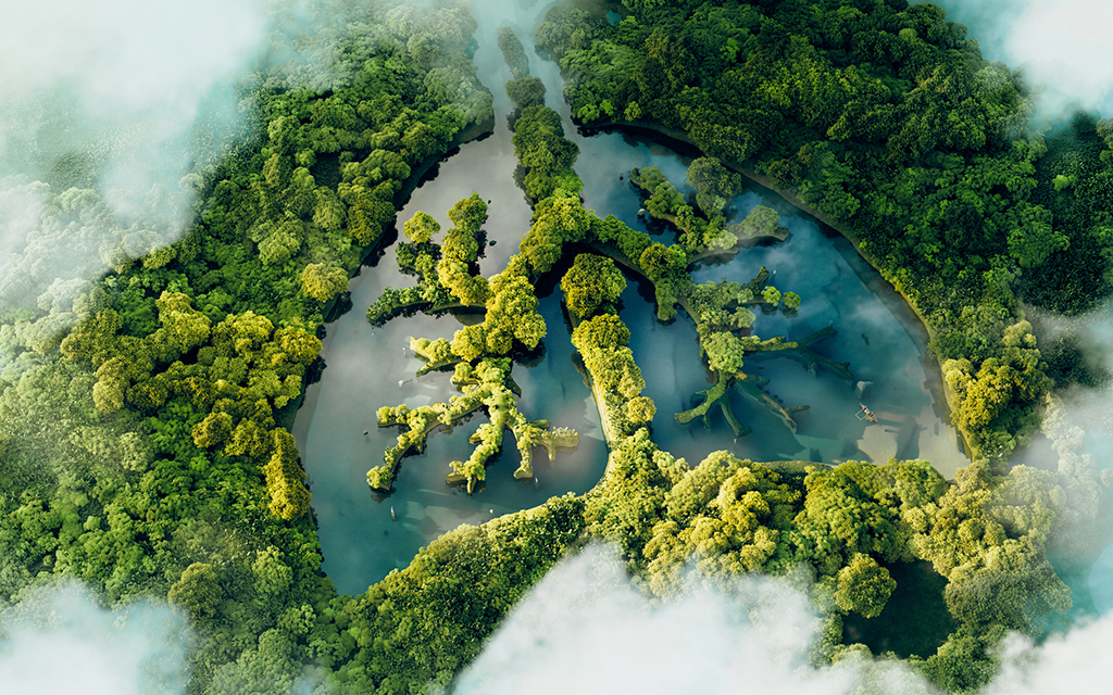 Aerial view of a forest shaped like lungs, representing the importance of nature in air quality.